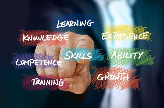 skills-4698654_1920