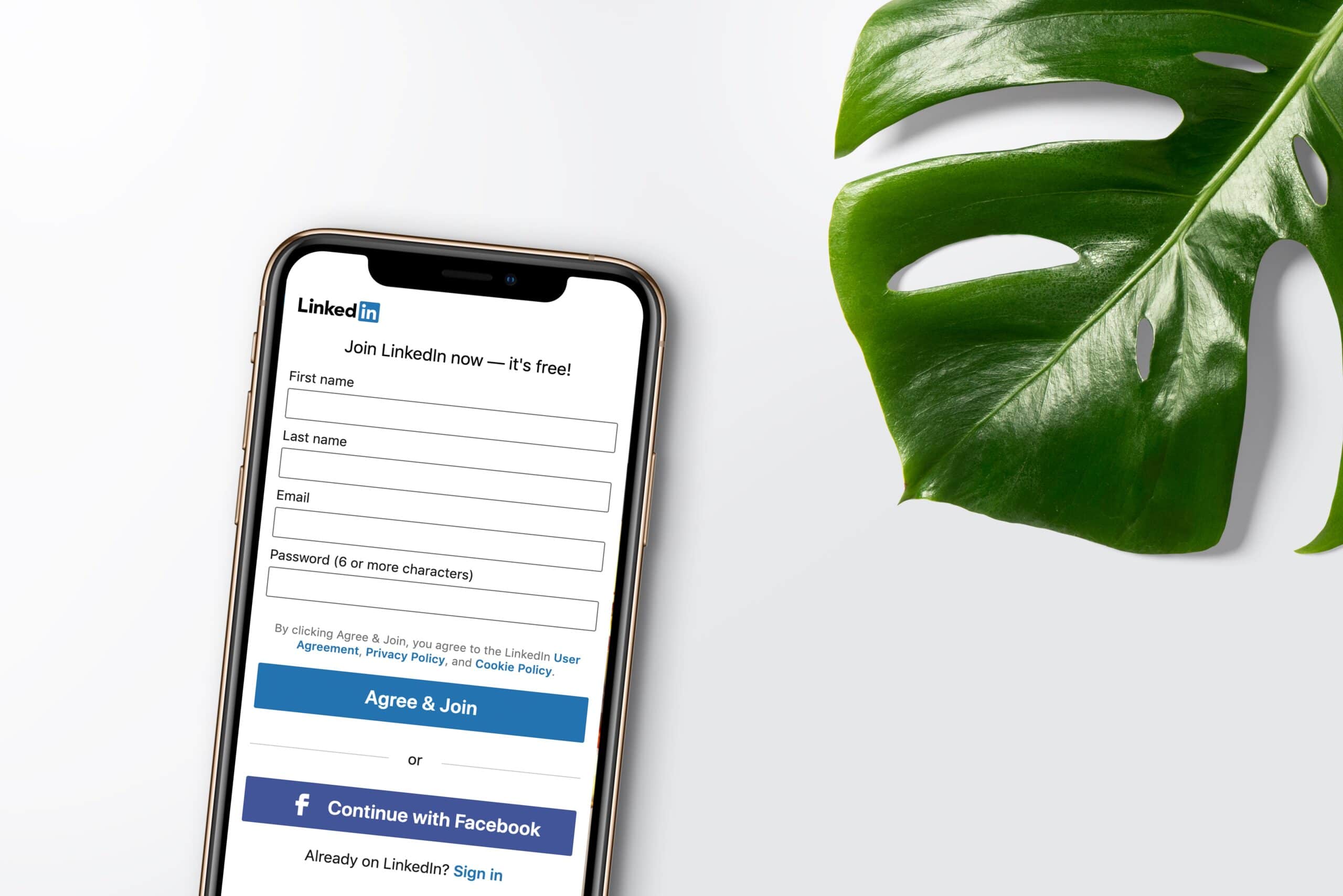 Online Profil bei XING und LinkedIn
