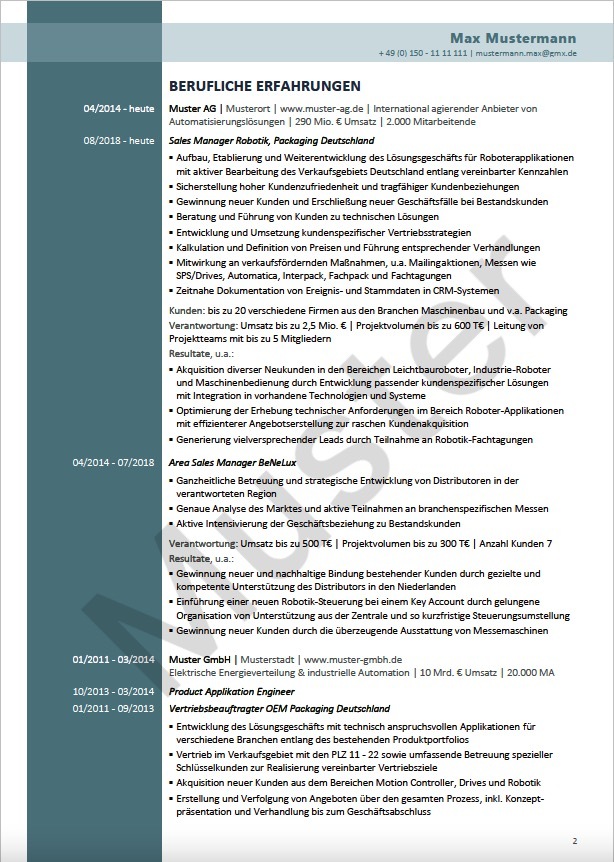 Bild eines professionell gestalteten Lebenslaufs mit individueller Executive Summary
