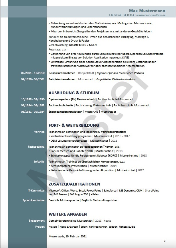 Bild eines professionell gestalteten Lebenslaufs mit individueller Executive Summary